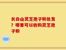 长白山灵芝孢子粉批发？哪里可以收购灵芝孢子粉