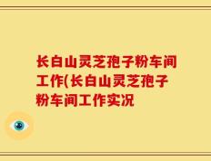 长白山灵芝孢子粉车间工作(长白山灵芝孢子粉车间工作实况