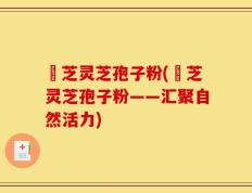 雲芝灵芝孢子粉(雲芝灵芝孢子粉——汇聚自然活力)