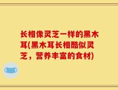 长相像灵芝一样的黑木耳(黑木耳长相酷似灵芝，营养丰富的食材)