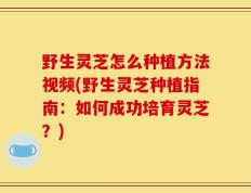 野生灵芝怎么种植方法视频(野生灵芝种植指南：如何成功培育灵芝？)