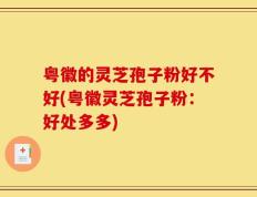 粤徽的灵芝孢子粉好不好(粤徽灵芝孢子粉：好处多多)