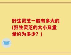 野生灵芝一般有多大的(野生灵芝的大小及重量约为多少？)