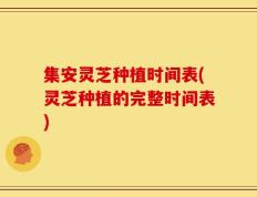集安灵芝种植时间表(灵芝种植的完整时间表)