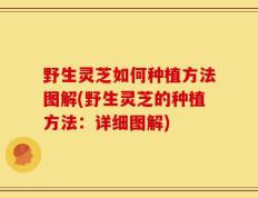 野生灵芝如何种植方法图解(野生灵芝的种植方法：详细图解)