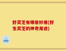野灵芝有哪些妙用(野生灵芝的神奇用途)
