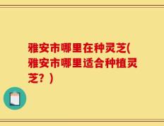 雅安市哪里在种灵芝(雅安市哪里适合种植灵芝？)