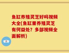 鱼缸养殖灵芝好吗视频大全(鱼缸里养殖灵芝有何益处？多部视频全面解析)