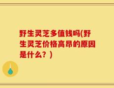 野生灵芝多值钱吗(野生灵芝价格高昂的原因是什么？)