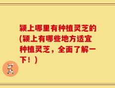 颍上哪里有种植灵芝的(颍上有哪些地方适宜种植灵芝，全面了解一下！)