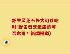 野生灵芝不长大可以吃吗(野生灵芝未成熟可否食用？新闻报道)