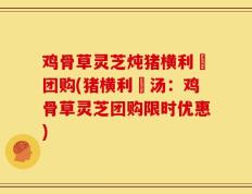 鸡骨草灵芝炖猪横利脷团购(猪横利脷汤：鸡骨草灵芝团购限时优惠)