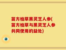 苗方柏草黑灵芝人参(苗方柏草与黑灵芝人参共同使用的益处)