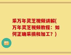 采万年灵芝视频讲解(万年灵芝视频教程：如何正确采摘和加工？)
