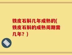 铁皮石斛几年成熟的(铁皮石斛的成熟周期需几年？)