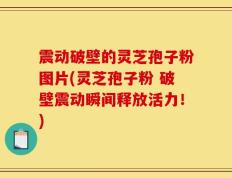震动破壁的灵芝孢子粉图片(灵芝孢子粉 破壁震动瞬间释放活力！)