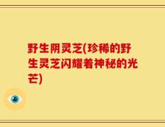 野生阴灵芝(珍稀的野生灵芝闪耀着神秘的光芒)