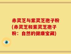 赤灵芝与紫灵芝孢子粉(赤灵芝和紫灵芝孢子粉：自然的健康宝藏)
