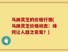 马蹄灵芝的价格行情(马蹄灵芝价格动态：缘何让人趋之若鹜？)