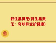 野生黑灵芝(野生黑灵芝：奇珍异宝护健康)