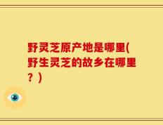 野灵芝原产地是哪里(野生灵芝的故乡在哪里？)