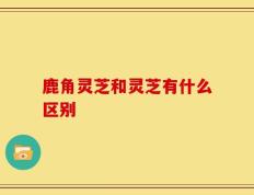 鹿角灵芝和灵芝有什么区别
