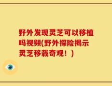 野外发现灵芝可以移植吗视频(野外探险揭示灵芝移栽奇观！)
