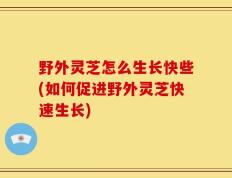 野外灵芝怎么生长快些(如何促进野外灵芝快速生长)
