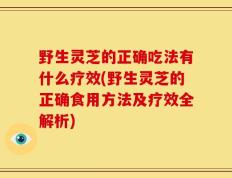 野生灵芝的正确吃法有什么疗效(野生灵芝的正确食用方法及疗效全解析)