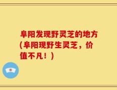 阜阳发现野灵芝的地方(阜阳现野生灵芝，价值不凡！)