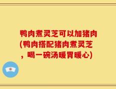 鸭肉煮灵芝可以加猪肉(鸭肉搭配猪肉煮灵芝，喝一碗汤暖胃暖心)