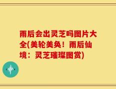 雨后会出灵芝吗图片大全(美轮美奂！雨后仙境：灵芝璀璨图赏)