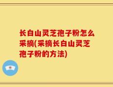 长白山灵芝孢子粉怎么采摘(采摘长白山灵芝孢子粉的方法)