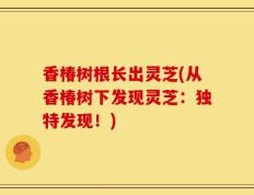 香椿树根长出灵芝(从香椿树下发现灵芝：独特发现！)