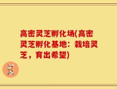 高密灵芝孵化场(高密灵芝孵化基地：栽培灵芝，育出希望)
