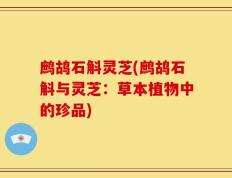 鹧鸪石斛灵芝(鹧鸪石斛与灵芝：草本植物中的珍品)