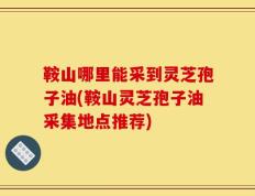 鞍山哪里能采到灵芝孢子油(鞍山灵芝孢子油采集地点推荐)