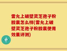 雷允上破壁灵芝孢子粉胶囊怎么样(雷允上破壁灵芝孢子粉胶囊使用效果评测)