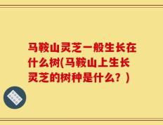 马鞍山灵芝一般生长在什么树(马鞍山上生长灵芝的树种是什么？)