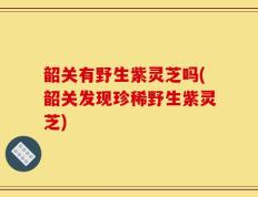 韶关有野生紫灵芝吗(韶关发现珍稀野生紫灵芝)