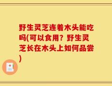 野生灵芝连着木头能吃吗(可以食用？野生灵芝长在木头上如何品尝)
