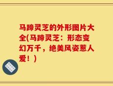 马蹄灵芝的外形图片大全(马蹄灵芝：形态变幻万千，绝美风姿惹人爱！)