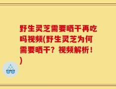 野生灵芝需要晒干再吃吗视频(野生灵芝为何需要晒干？视频解析！)