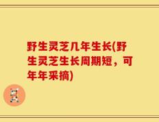 野生灵芝几年生长(野生灵芝生长周期短，可年年采摘)