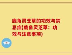 鹿角灵芝草的功效与禁忌症(鹿角灵芝草：功效与注意事项)