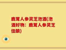 鹿茸人参灵芝泡酒(泡酒好物：鹿茸人参灵芝佳酿)