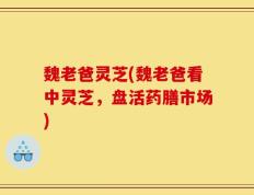 魏老爸灵芝(魏老爸看中灵芝，盘活药膳市场)