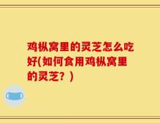 鸡枞窝里的灵芝怎么吃好(如何食用鸡枞窝里的灵芝？)