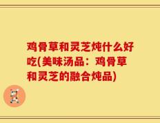 鸡骨草和灵芝炖什么好吃(美味汤品：鸡骨草和灵芝的融合炖品)