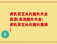 虎乳灵芝头片图片大全高清(高清图片大全：虎乳灵芝头片图片集锦)